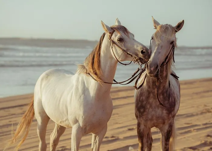 Ca Lori Vakantiehuis Scorzè